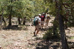 photo thumbnail #13