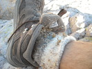 photo thumbnail #13