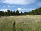 photo thumbnail #6