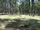 photo thumbnail #12