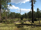 photo thumbnail #13