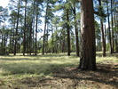 photo thumbnail #14