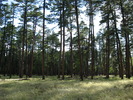 photo thumbnail #15