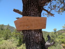 photo thumbnail #11
