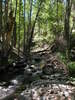 photo thumbnail #13