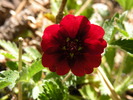 photo thumbnail #15
