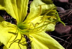 photo thumbnail #11