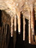 photo thumbnail #15