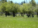 photo thumbnail #7
