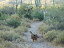 photo thumbnail #2