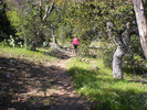 photo thumbnail #2