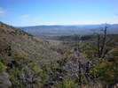 photo thumbnail #3