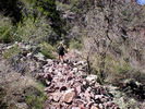 photo thumbnail #11