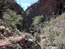 photo thumbnail #12