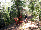 photo thumbnail #2
