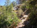 photo thumbnail #7