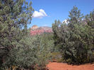 photo thumbnail #4
