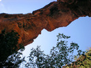 photo thumbnail #14