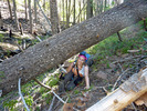 photo thumbnail #1
