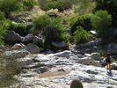 photo thumbnail #3