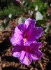 photo thumbnail #7