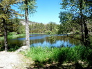photo thumbnail #4