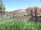 photo thumbnail #5