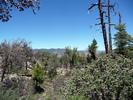 photo thumbnail #3