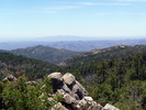 photo thumbnail #9
