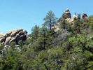 photo thumbnail #13