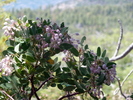 photo thumbnail #14