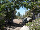 photo thumbnail #15
