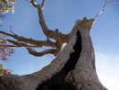 photo thumbnail #15