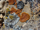photo thumbnail #9