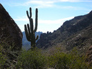photo thumbnail #8
