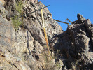 photo thumbnail #15