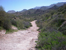 photo thumbnail #1