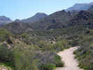 photo thumbnail #2
