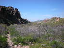 photo thumbnail #7