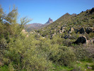 photo thumbnail #11