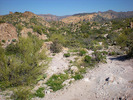 photo thumbnail #14