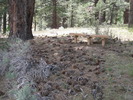 photo thumbnail #6