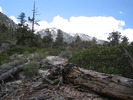 photo thumbnail #9