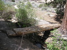 photo thumbnail #10
