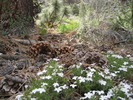 photo thumbnail #13