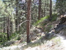photo thumbnail #15
