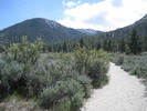 photo thumbnail #1