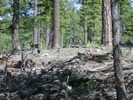photo thumbnail #1