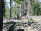 photo thumbnail #2