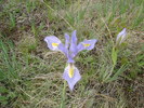 photo thumbnail #11